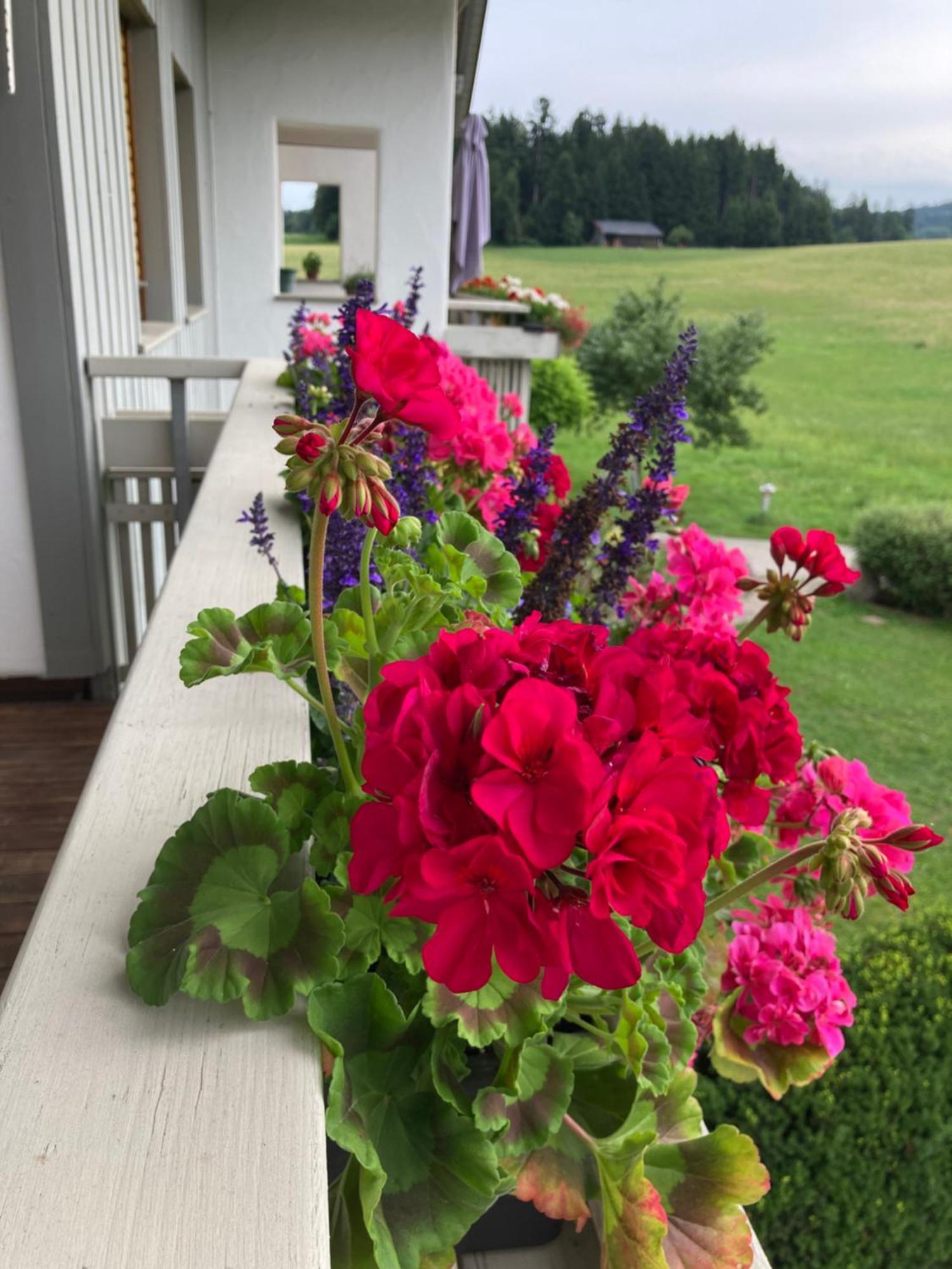 Ferienwohnungen Allgaeu-Bodensee Sigmarszell Exterior foto
